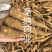 白芷个白芷片安徽白芷个产地直销1公斤起批量大从优