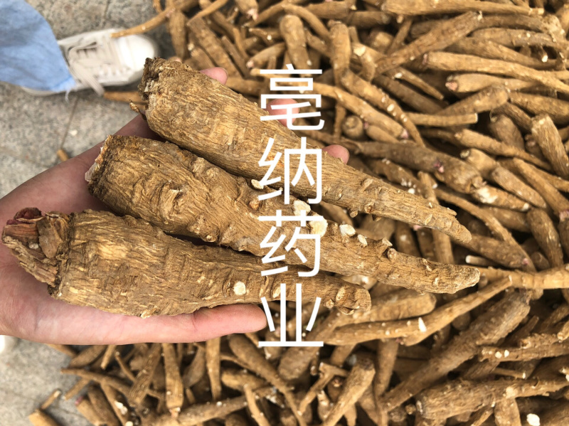白芷个白芷片安徽白芷个产地直销1公斤起批量大从优