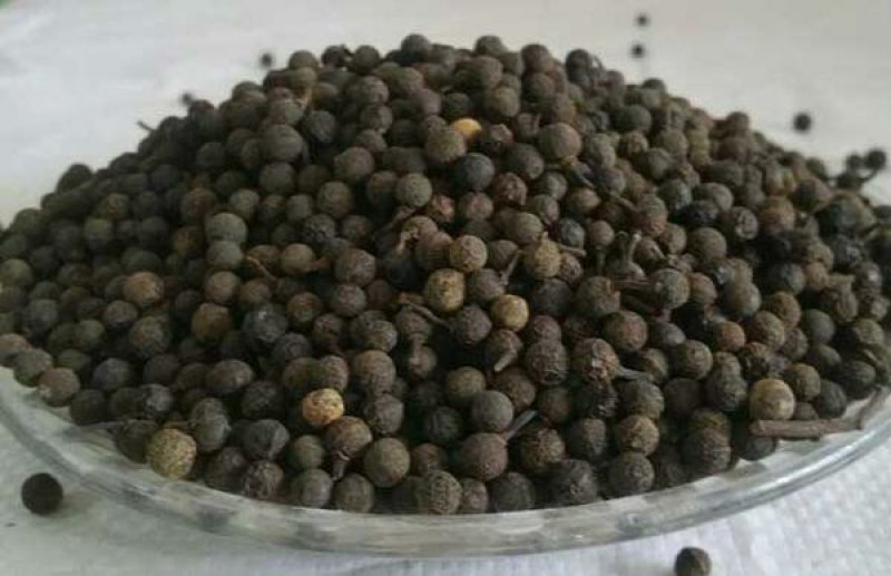 筚澄茄荜澄茄澄茄毗陵茄子毕澄茄山苍子山