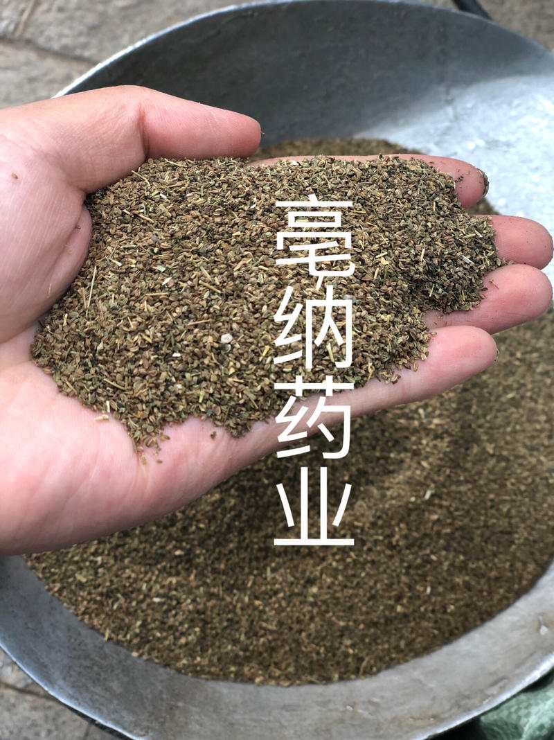 芹菜籽药芹1公斤1⃣️袋芹菜籽大货