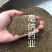 芹菜籽药芹1公斤1⃣️袋芹菜籽大货