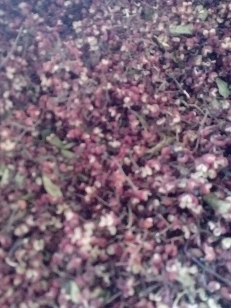 湿花椒，新干椒