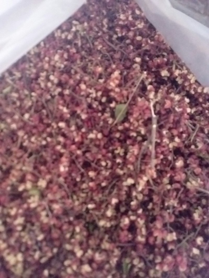 湿花椒，新干椒