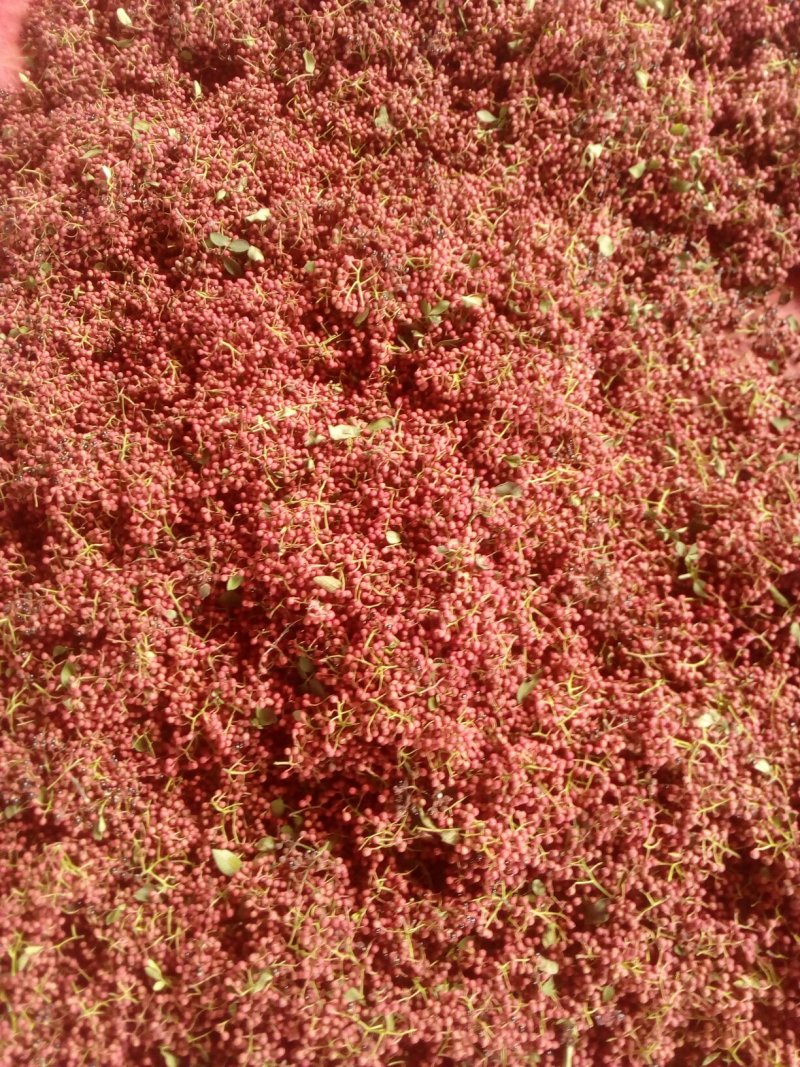 湿花椒，新干椒
