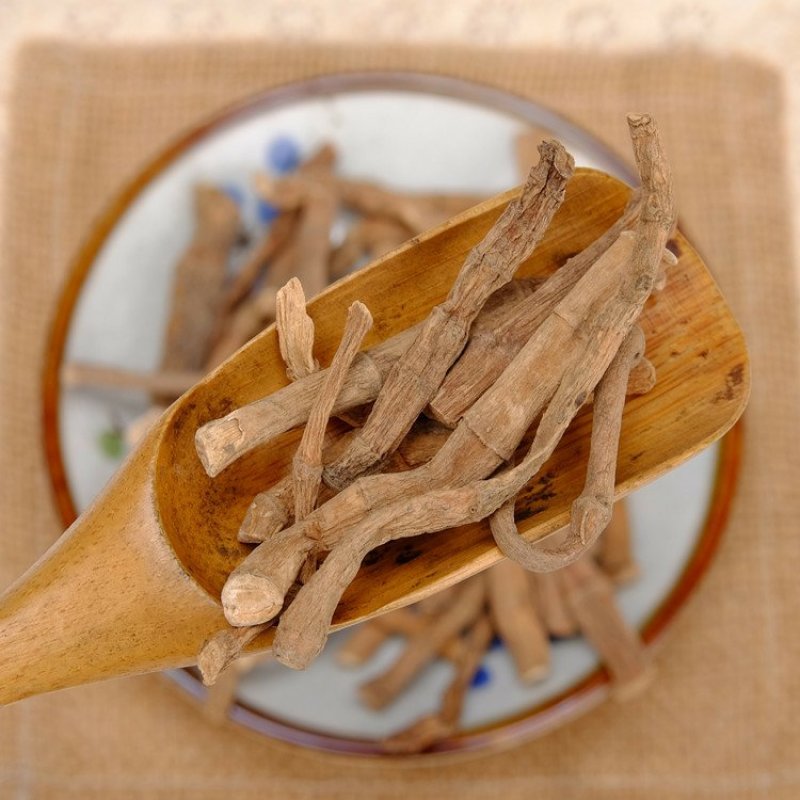 三白草根批发零售中药材品质保证
