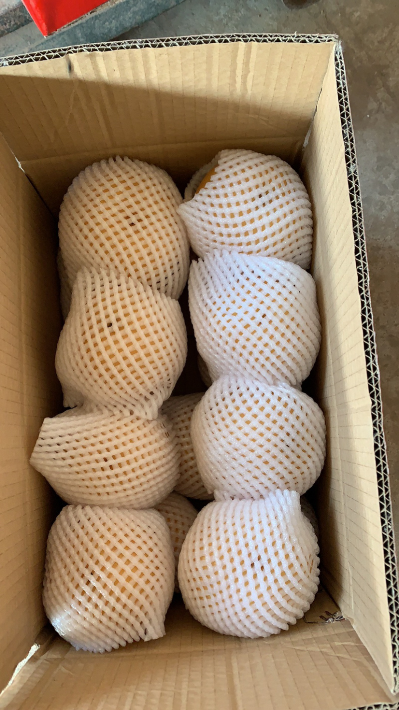 丰水梨产地直供大量供应