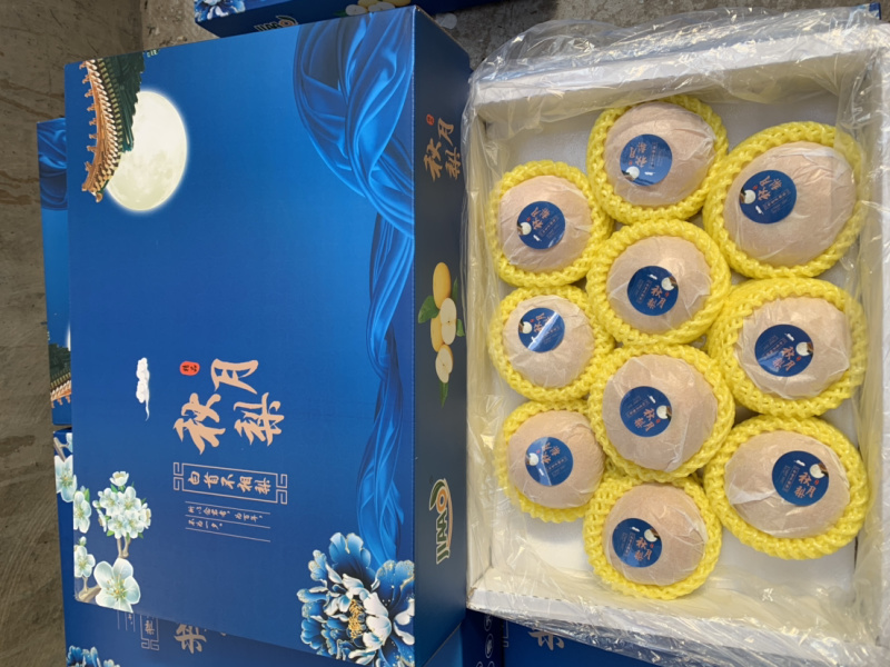 丰水梨产地直供大量供应