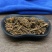 马尾莲草黄莲马尾连可打粉批发零售中药材