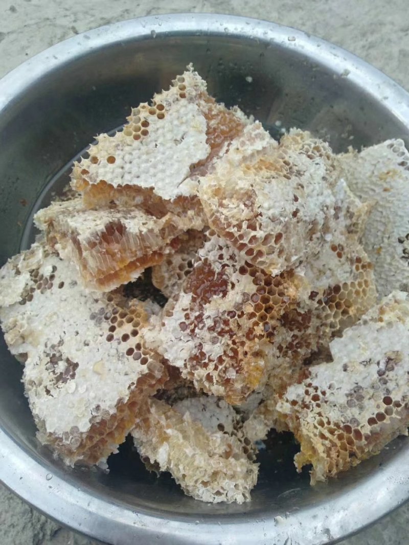 野生蜂蜜
