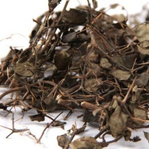 绣花针虎刺绣花针中草药正品新货中药材刺龙牙