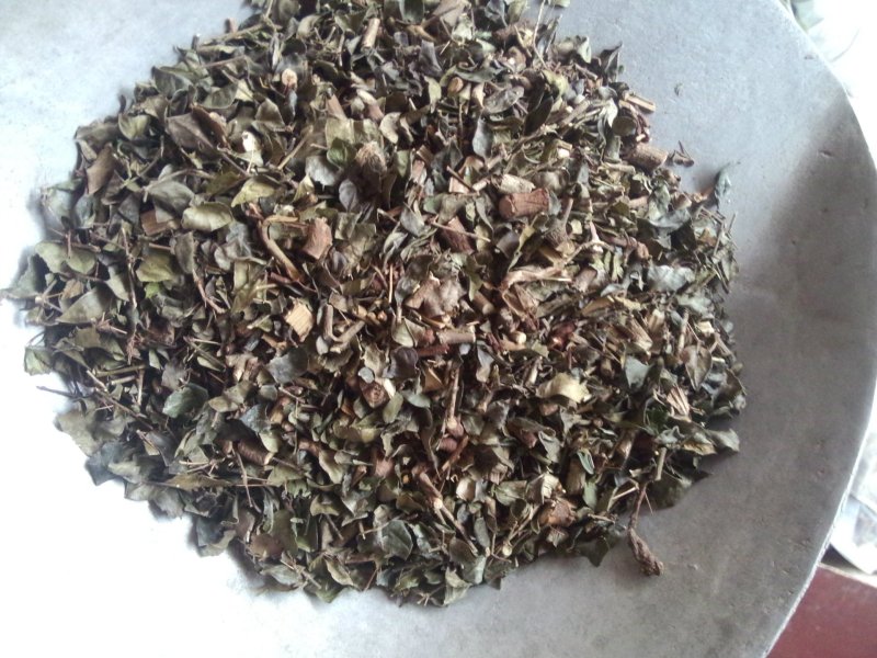 绣花针虎刺绣花针中草药正品新货中药材刺龙牙