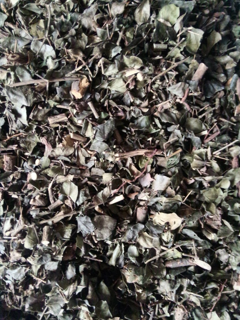 绣花针虎刺绣花针中草药正品新货中药材刺龙牙