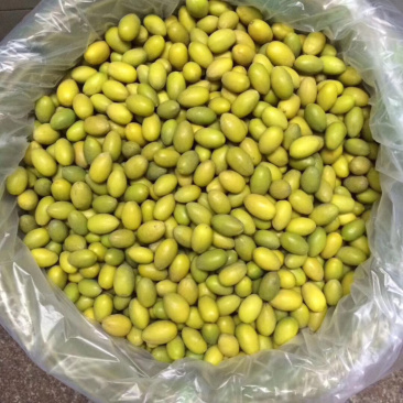 新鲜花皮橄榄，支持线上交易