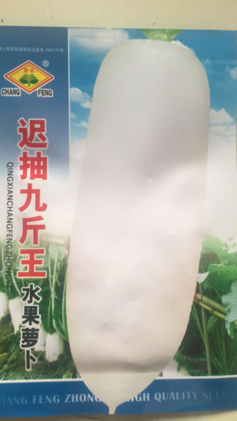 九斤王迟抽萝卜种子水果萝卜种子
