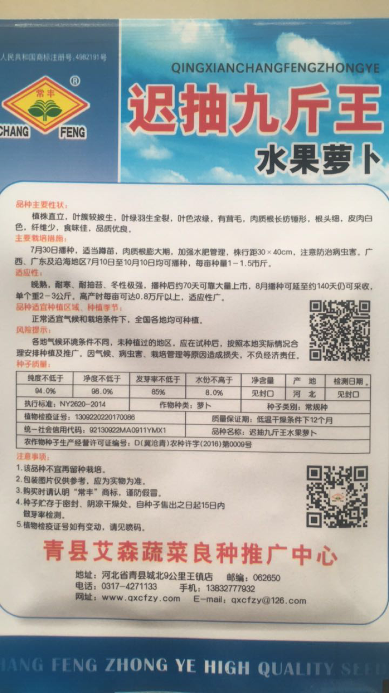 九斤王迟抽萝卜种子水果萝卜种子