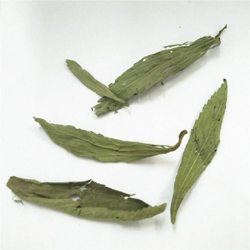 甜菊叶甜叶菊批发零售中药材品质保证