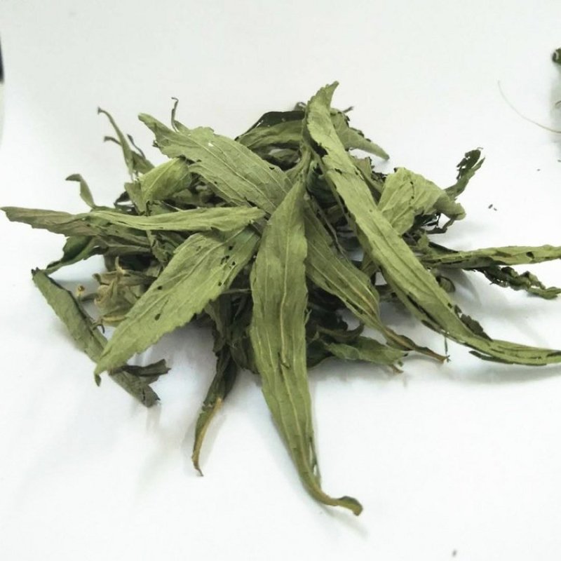 甜菊叶甜叶菊批发零售中药材品质保证