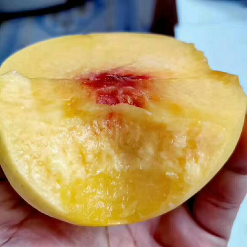 西瑞黄金脆桃