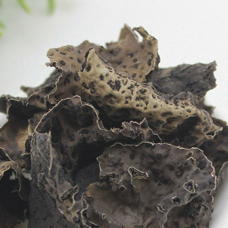石耳石耳中药材500g干净无沙野生优质黄山岩耳岩姑石壁