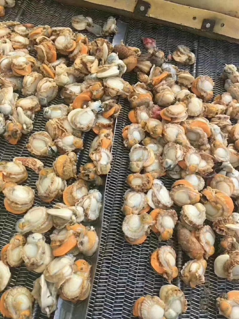 扇贝肉