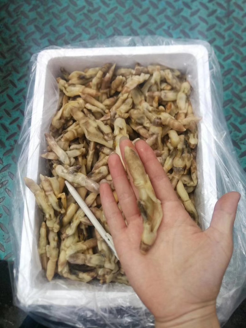 蛏子肉