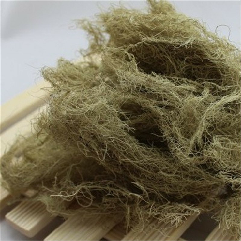 云雾草老君草松罗天蓬草批发零售产地直销