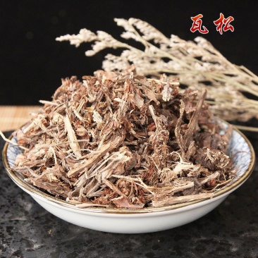 瓦松瓦松中药材瓦松花流苏阿松向天草酸塔天王铁