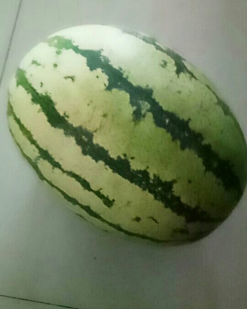 宁夏硒沙瓜