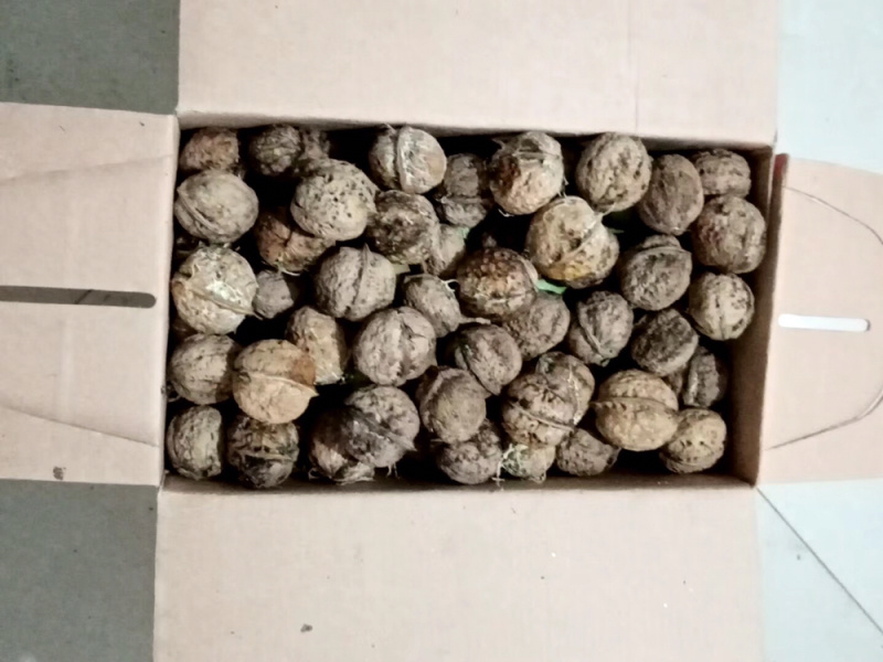 2019云南新鲜薄壳核桃礼品盒