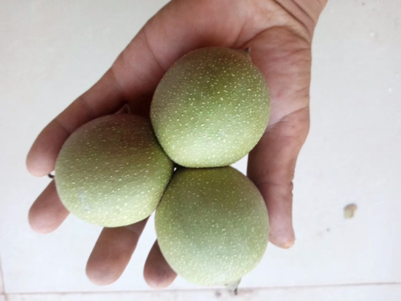2019云南新鲜薄壳核桃礼品盒