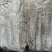 枝条菌种姬菇菌种姬菇栽培种姬菇三级菌种平菇菌种