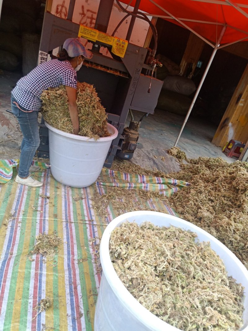 大量优质高山水苔，海花草
