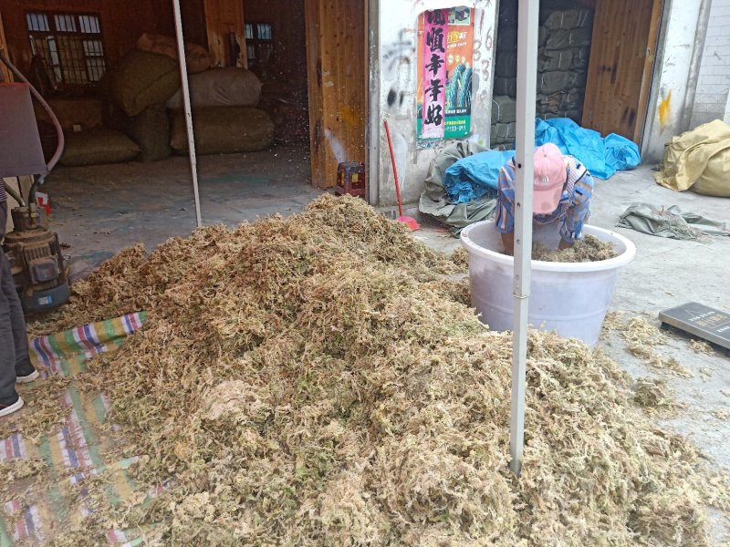 大量优质高山水苔，海花草