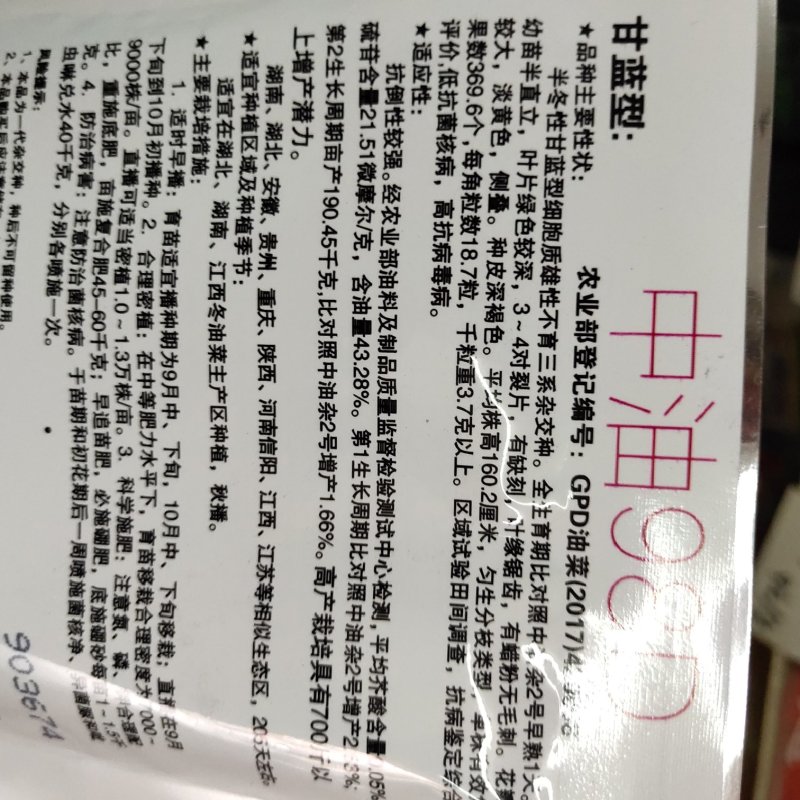 甘蓝型杂交油菜种子中油98D高产高油品种80克包邮