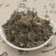 中药材大蓟草大刺儿菜干燥全草马蓟虎蓟可打粉
