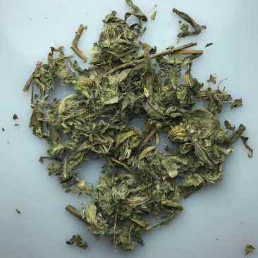 小蓟小蓟小蓟草根小计七七牙刺儿菜水野红花