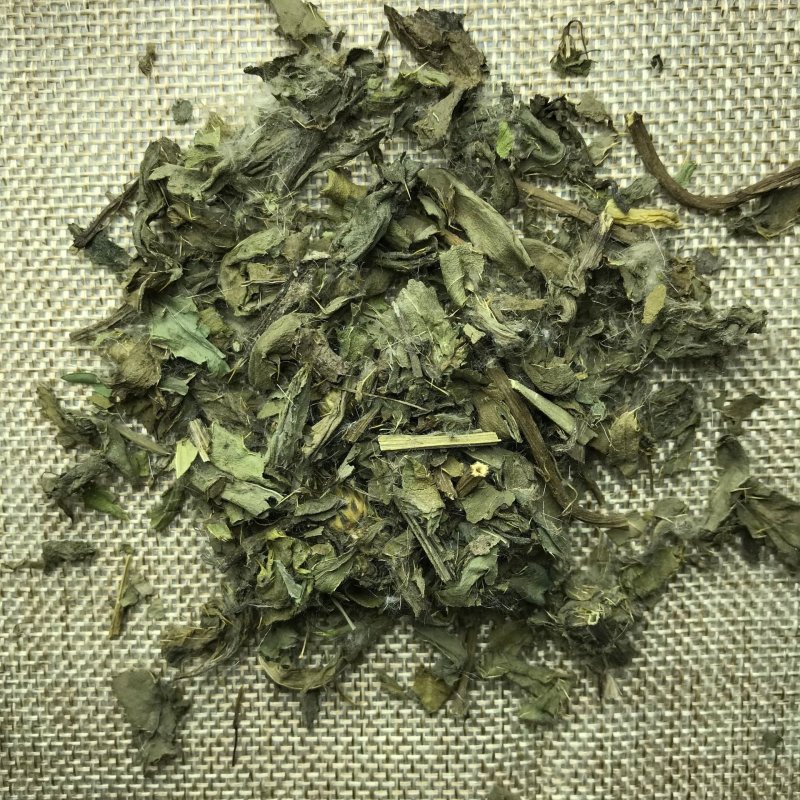 小蓟小蓟小蓟草根小计七七牙刺儿菜水野红花