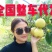 安徽砀山酥梨(商超，电商批发市场)冷库预冷全国发货