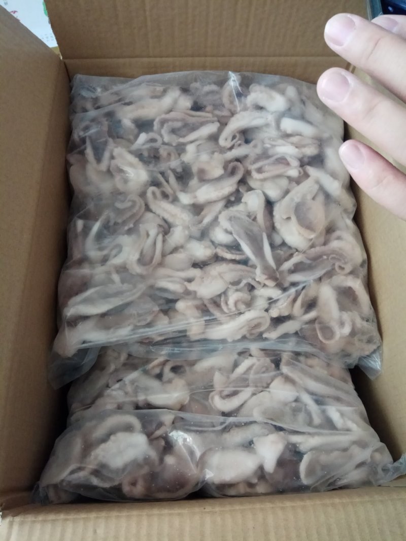 优质单冻章鱼切段，产地厂家直供诚信合作欢迎选购