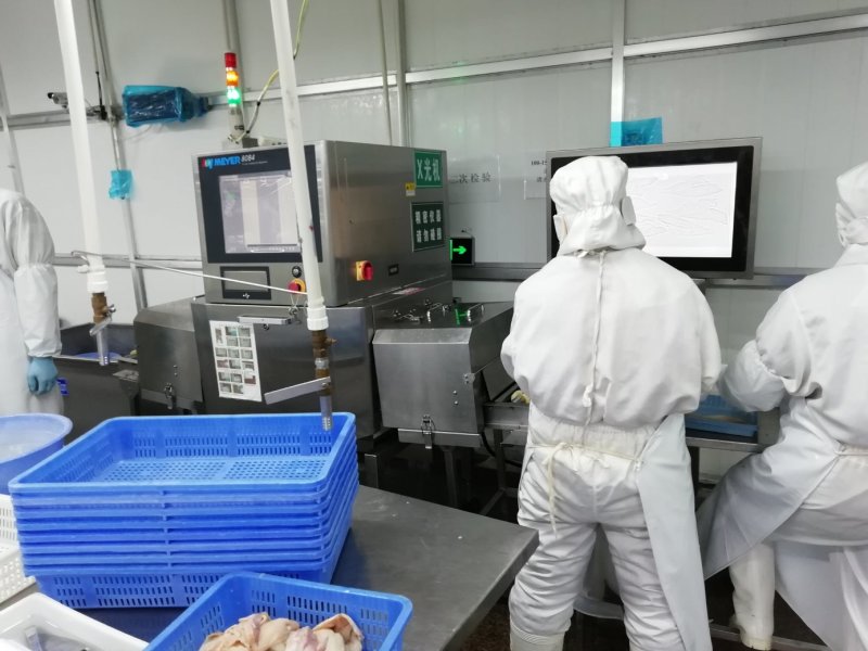 优质单冻章鱼切段，产地厂家直供诚信合作欢迎选购