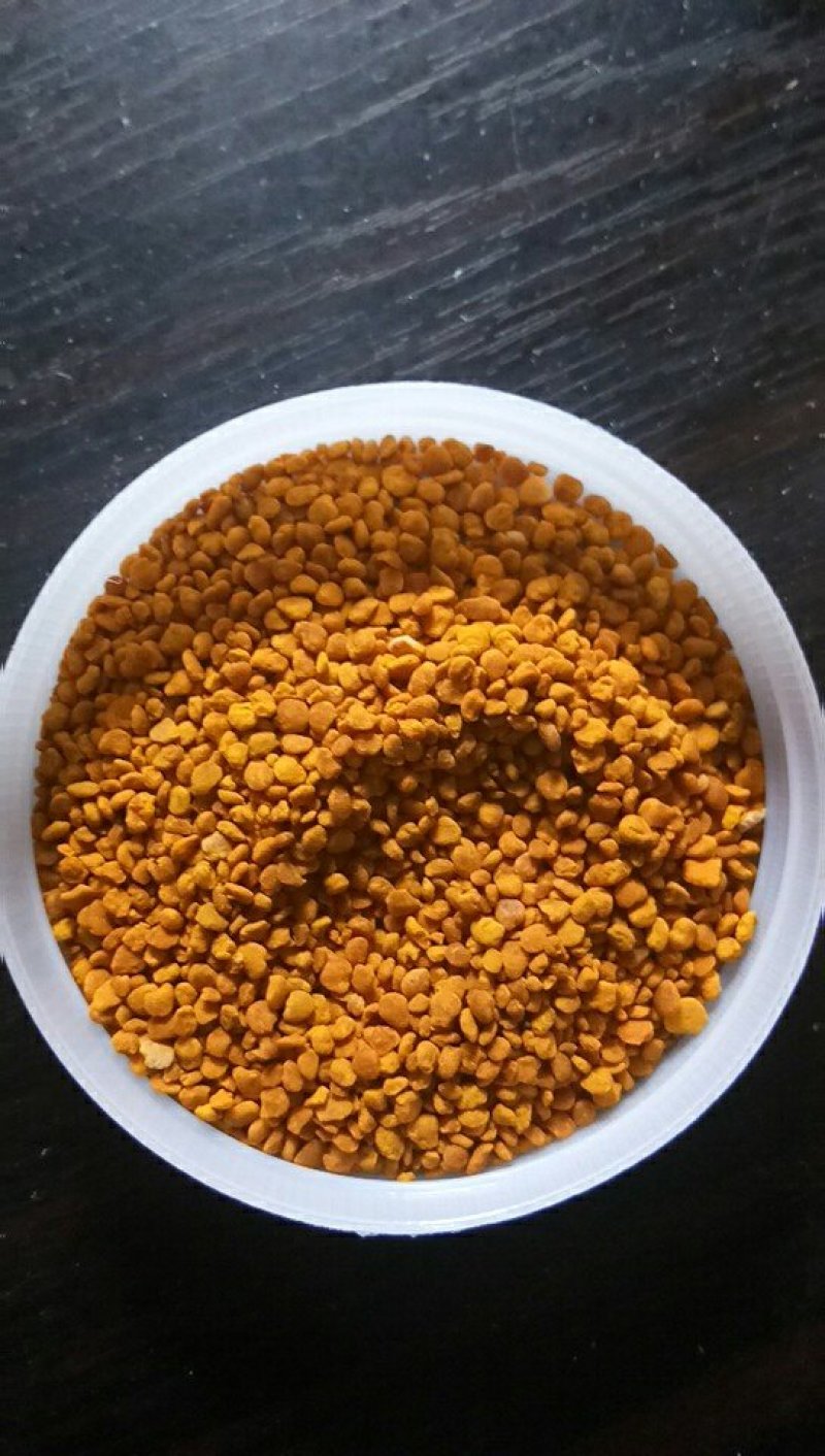 茶花粉滋补营养纯粉新鲜茶花粉大小包装包邮
