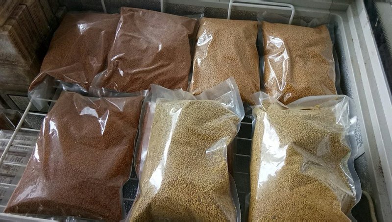 茶花粉滋补营养纯粉新鲜茶花粉大小包装包邮