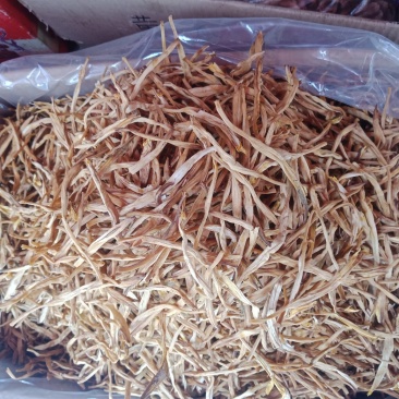 黄花菜***优质产品