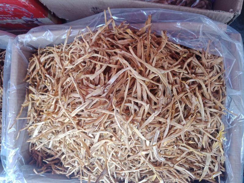 黄花菜***优质产品