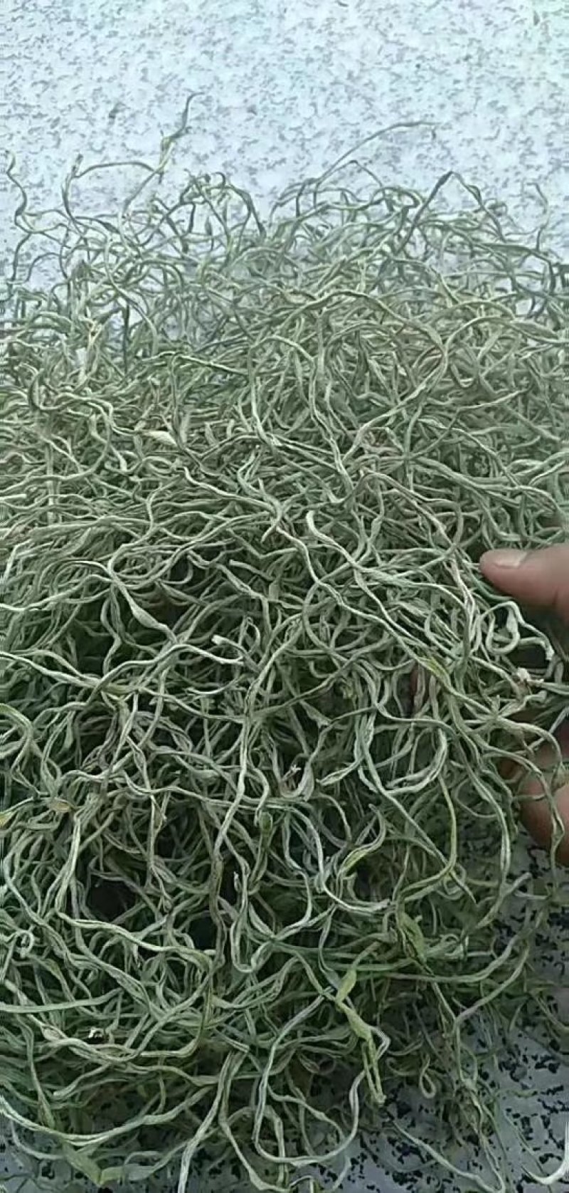 精品野豇豆丝50斤一件