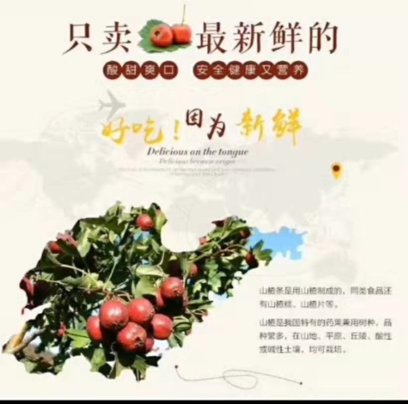桑葚山楂条