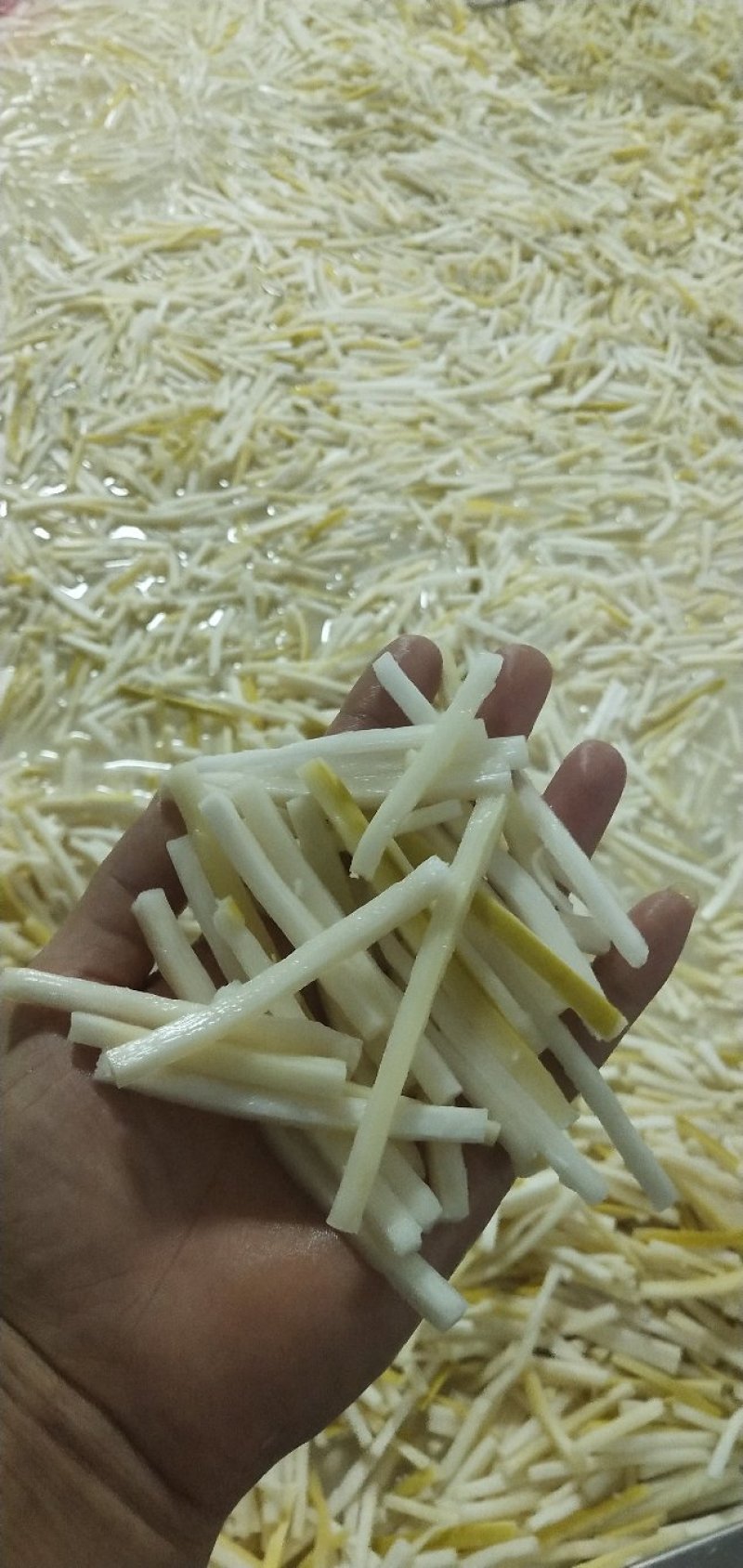 桶装酸笋丝