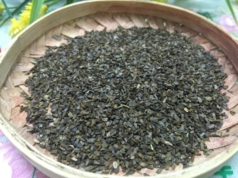 茺蔚子中药材茺蔚子可打粉充蔚子茺卫子茺玉子益母草籽