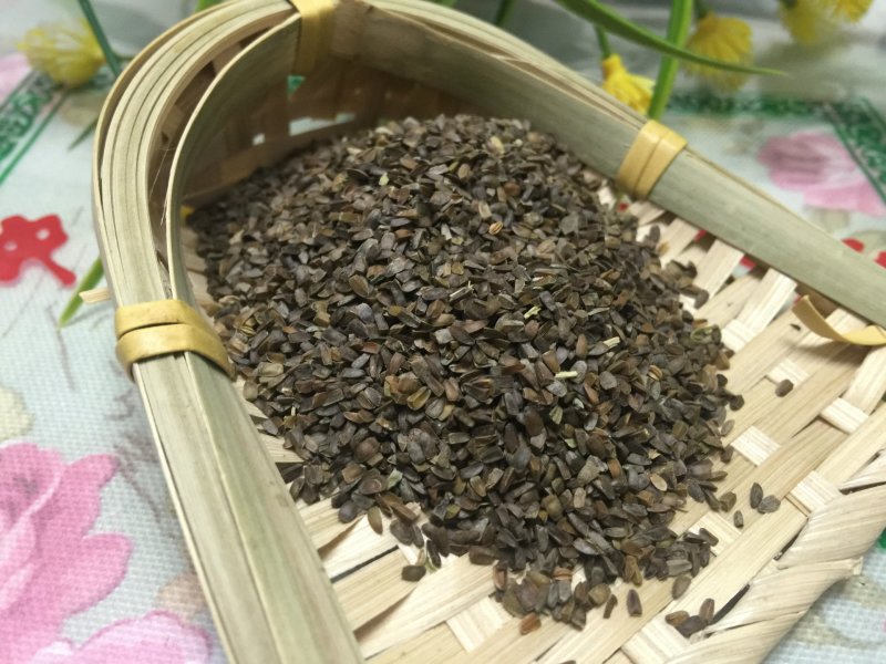 茺蔚子中药材茺蔚子可打粉充蔚子茺卫子茺玉子益母草籽