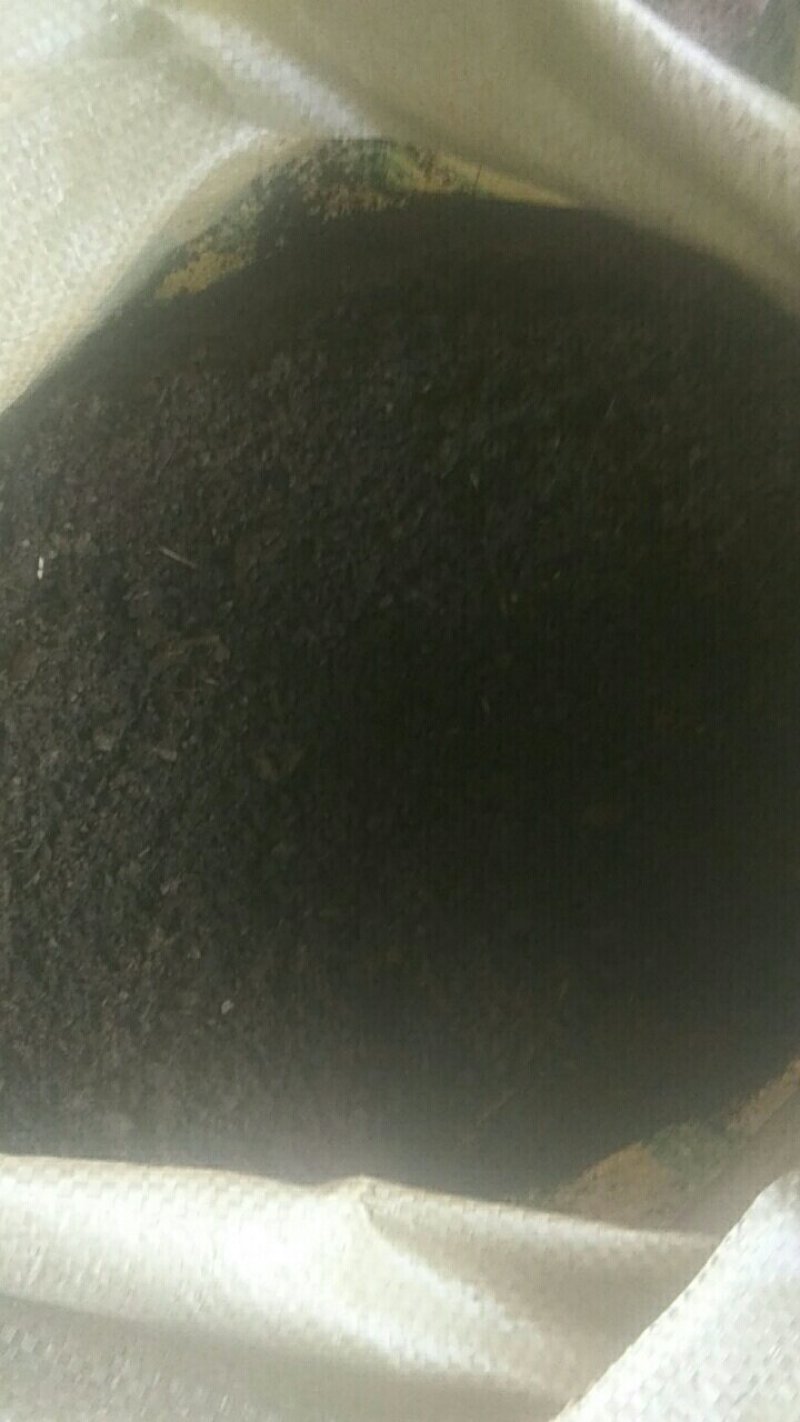 发酵纯羊粪，质优，价格合理，全国发货，你的满意，是我们的